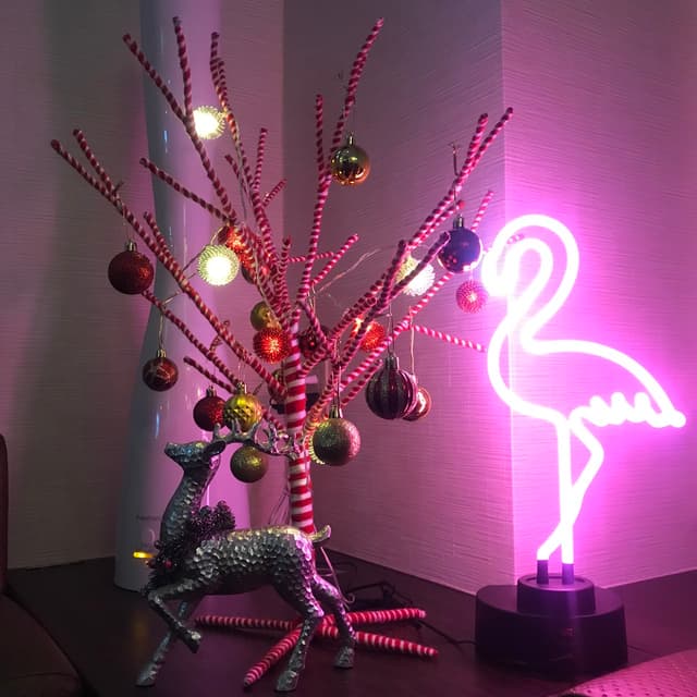 Petit - サブ画像1