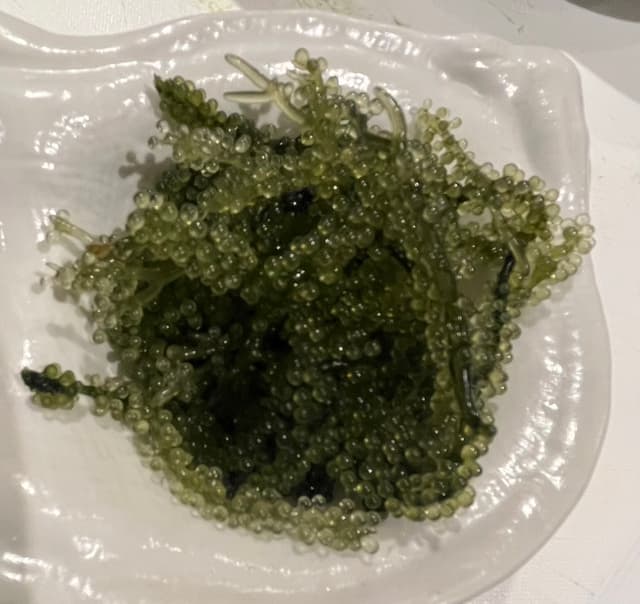 琉球家　なんくるないさ琉球家 なんくるないさ - サブ画像3