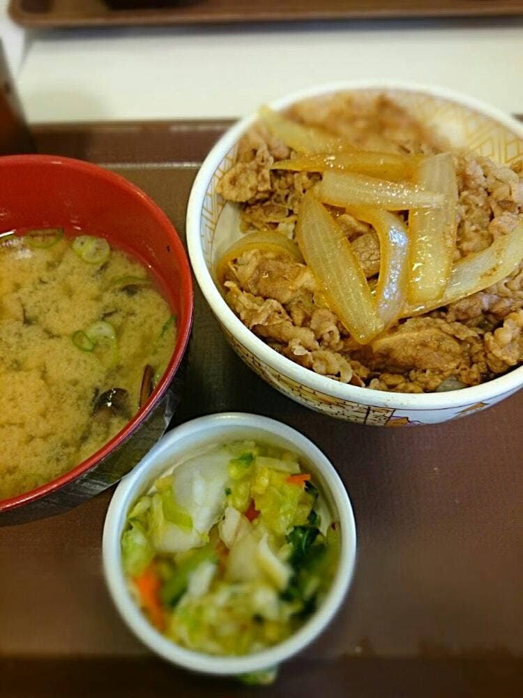 すき家 常総石下店