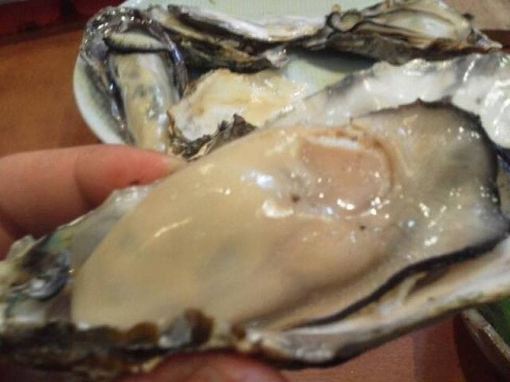 季節料理 みゆき