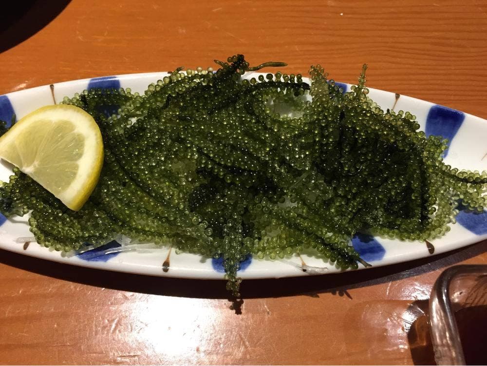 ぱいかじ沖国大前店