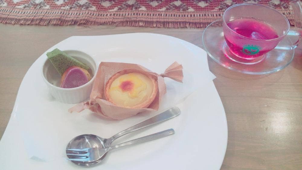 鹿屋フェスティバロ