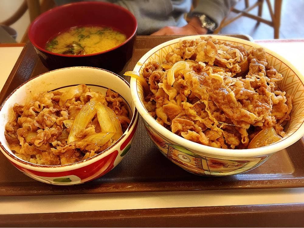 すき家 124号神栖木崎店