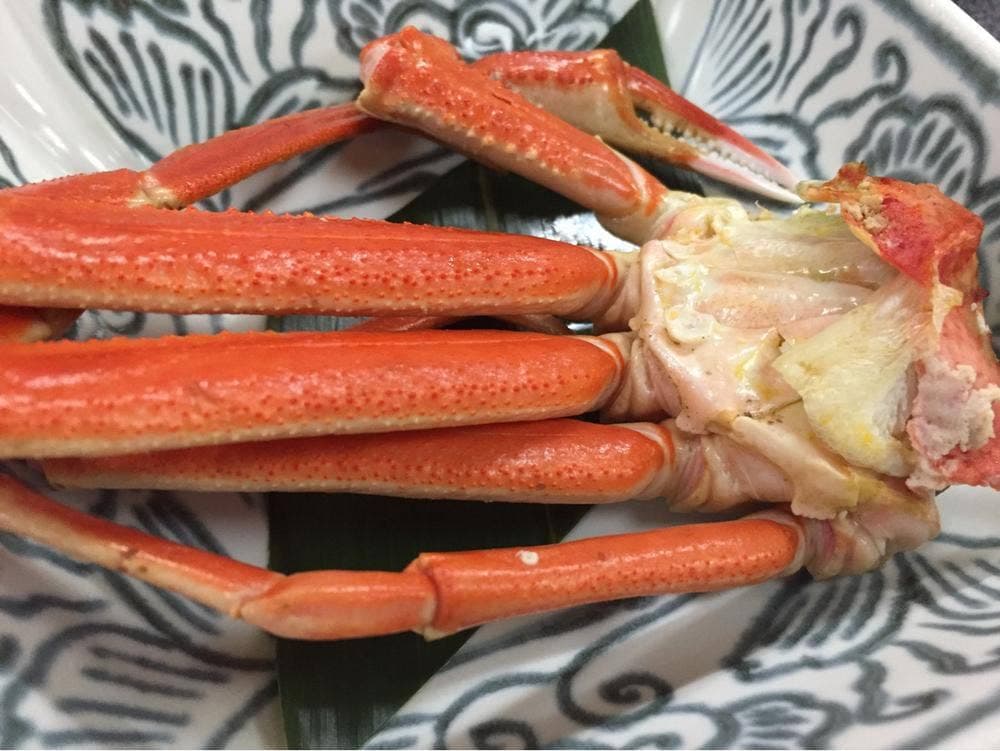 出雲神々縁結の宿 紺家