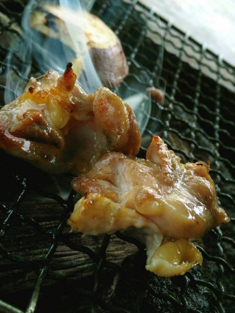 日向地どり 野乃家