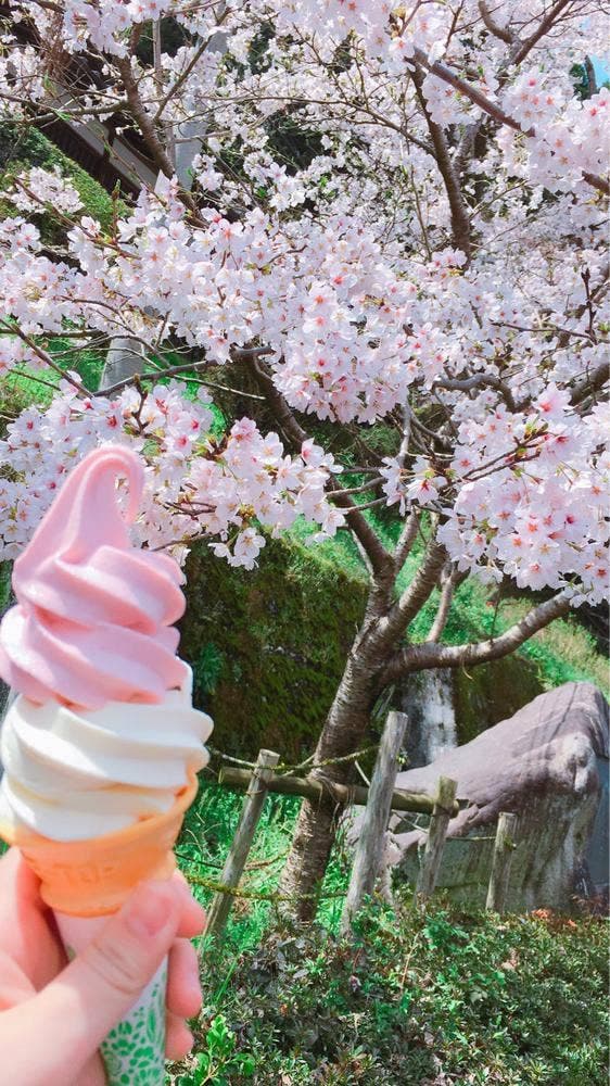 さくら堂 - サブ画像2