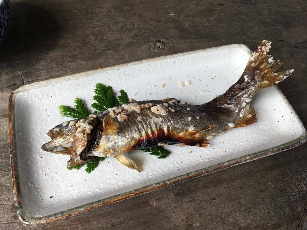森養魚場 いわなの庵