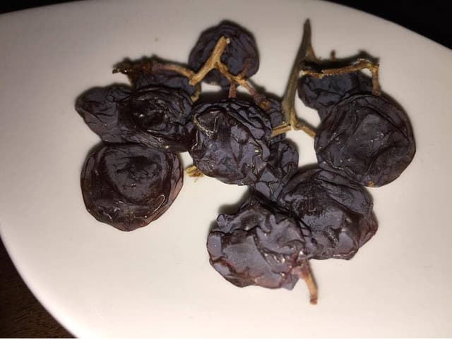 Bar Repose - サブ画像1