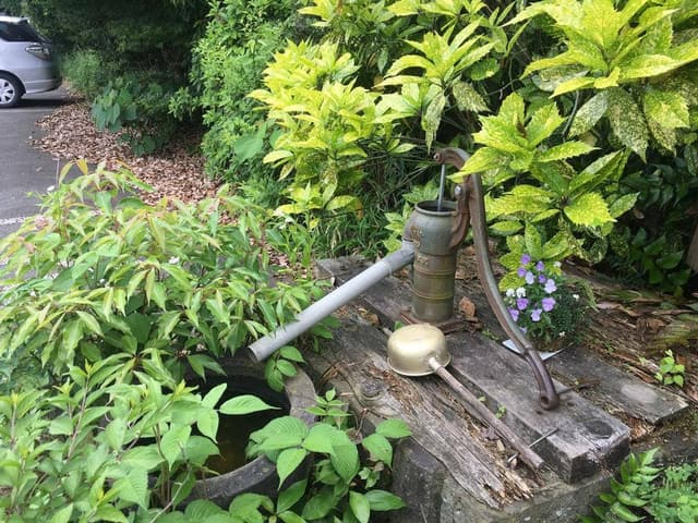 菊陽茶屋 - サブ画像3