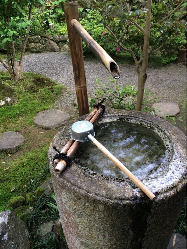 アピエ - サブ画像1
