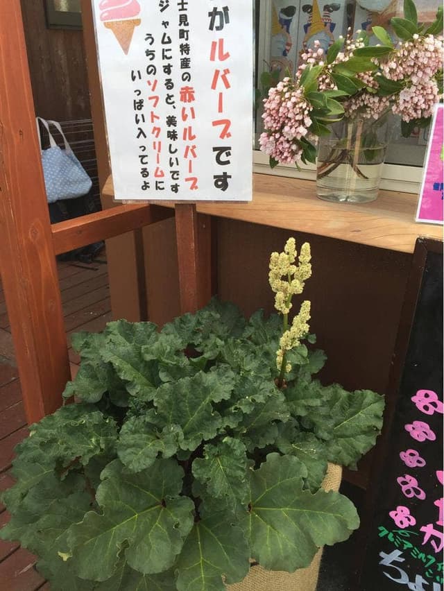 山頂カフェ 富士見パノラマリゾート - サブ画像2
