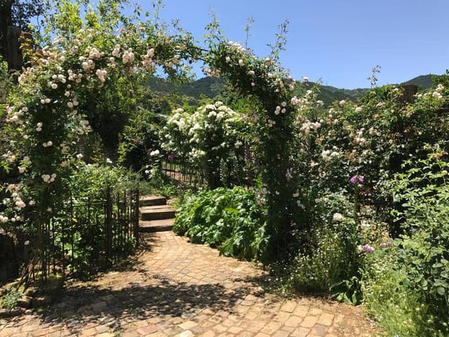 ラ・ローズ デ バン - サブ画像1
