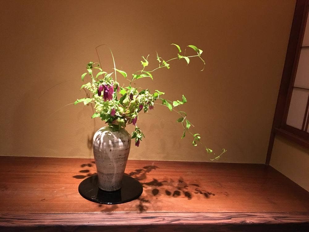 紋