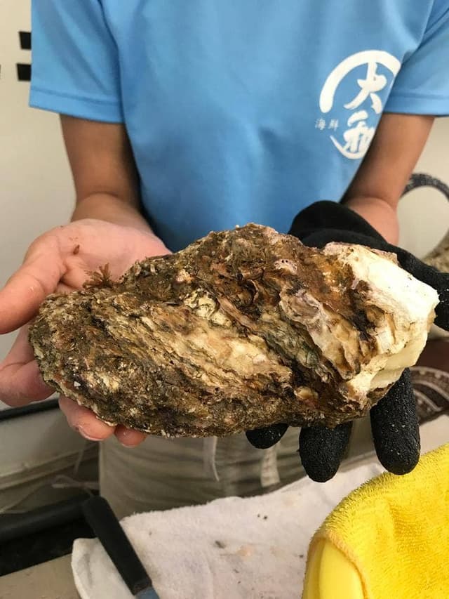 海鮮 大和 - サブ画像2