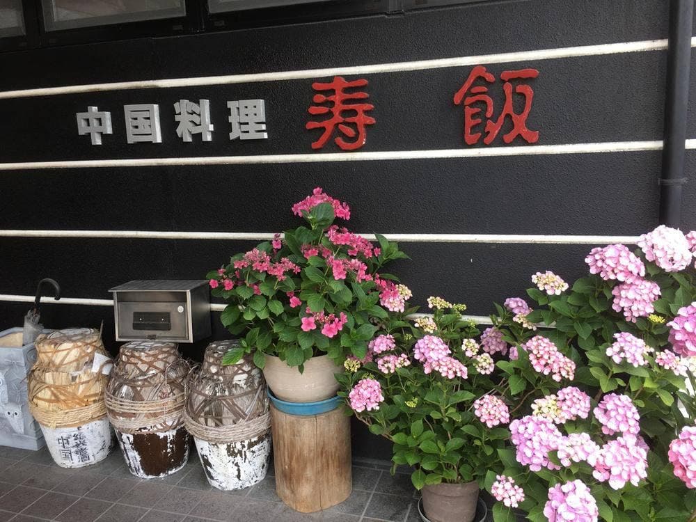 寿飯