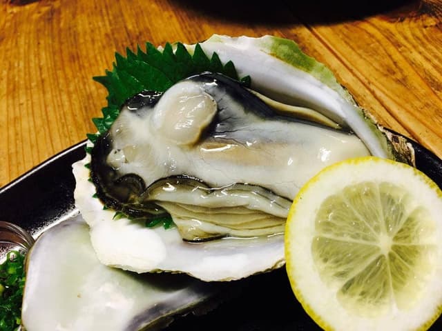 木の根 - サブ画像3