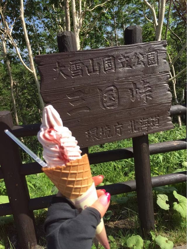 三国 峠 カフェ - サブ画像3