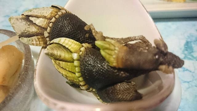 緑鮨 - サブ画像2