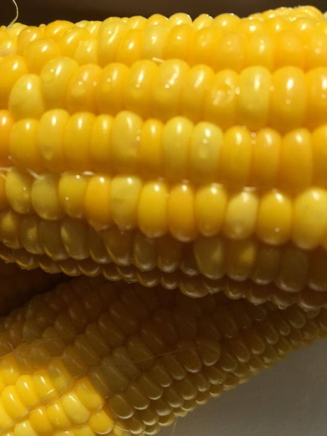 岩木屋 - サブ画像3