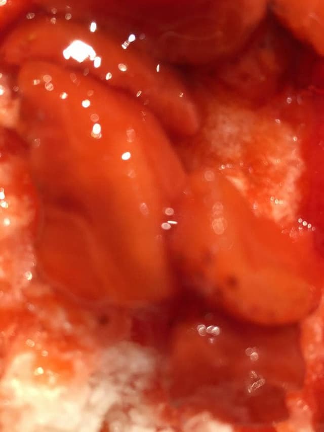 珈琲館広島本通中央店 - サブ画像2