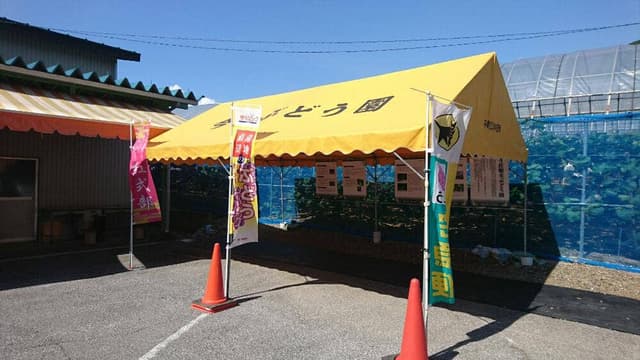 今荘ぶとう園 直売所 - サブ画像1