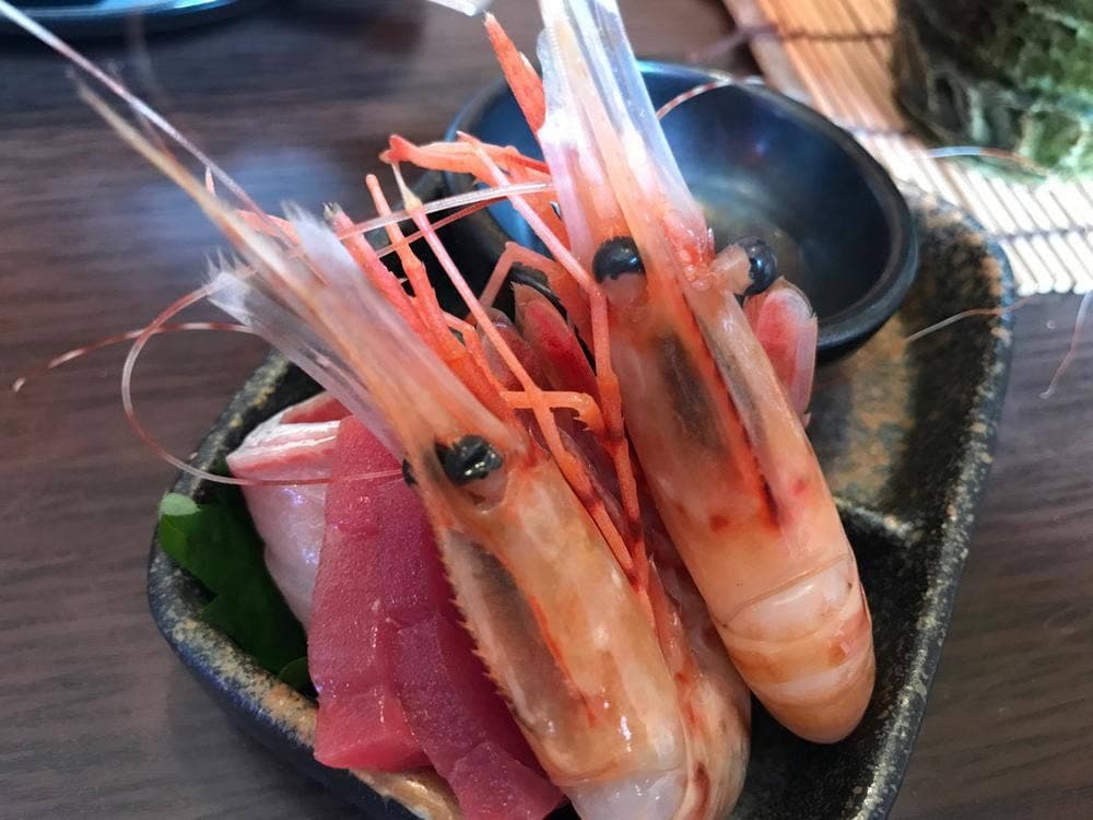 風雅