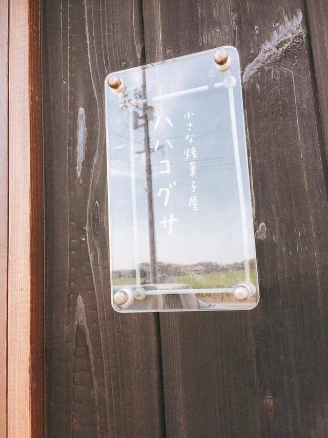ハハコグサ - サブ画像3