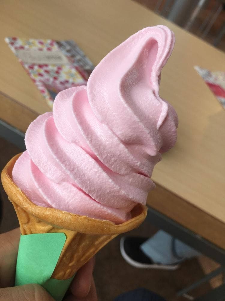 チューリップ四季彩館