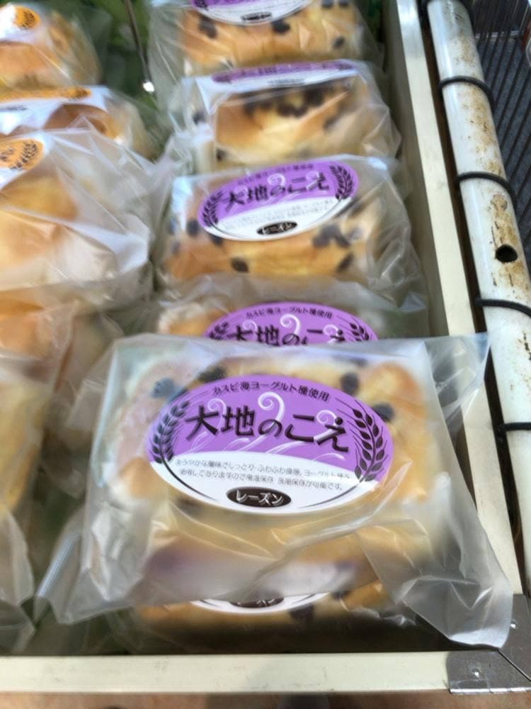 フレッシュ菜々