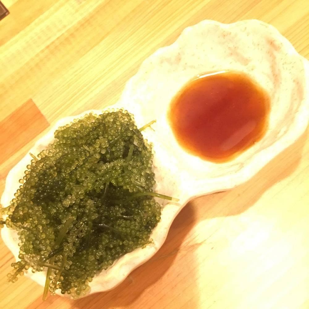 居酒屋 うむさのうおしん