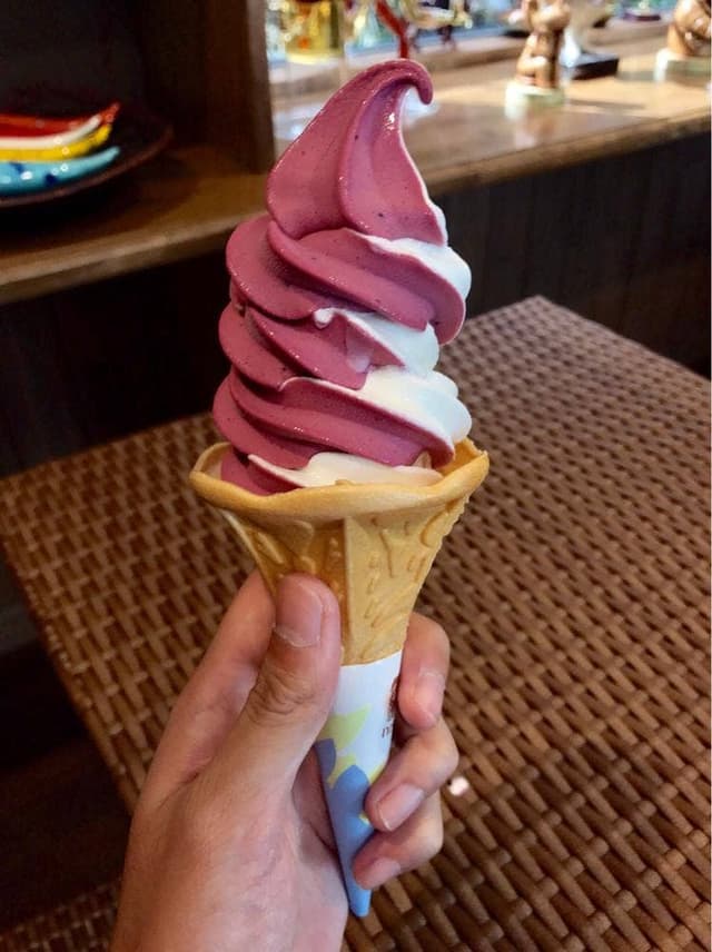 ブルーベリー農園 森の畑 シャン・ドゥ・ボア - サブ画像2