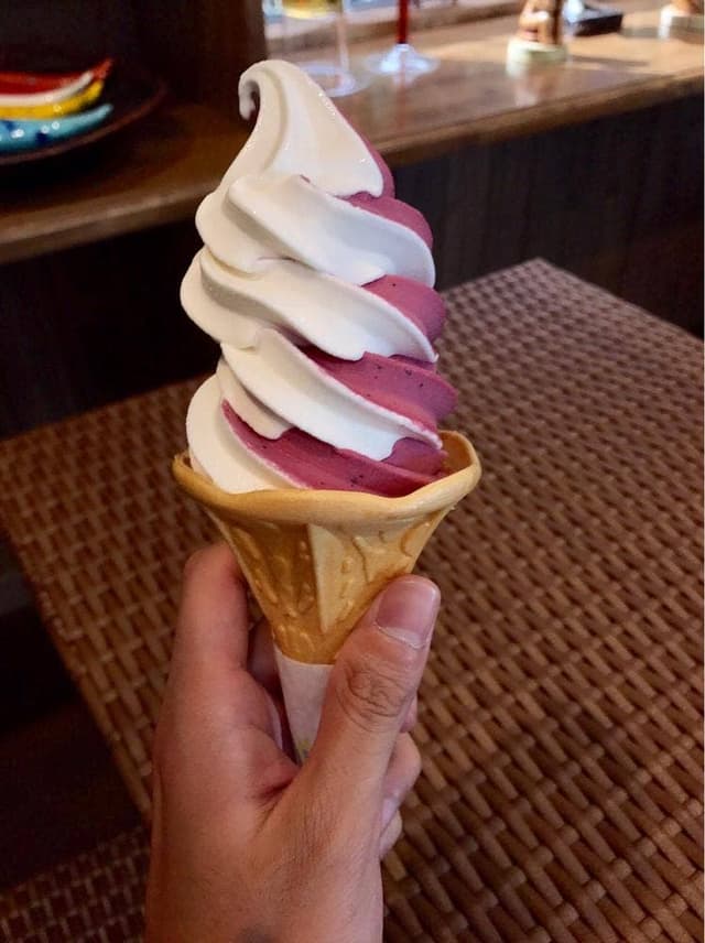 ブルーベリー農園 森の畑 シャン・ドゥ・ボア - サブ画像3