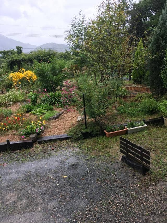 cafe Nobu - サブ画像1