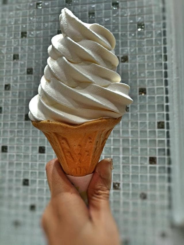 まるごと高知 とさ市 - サブ画像3