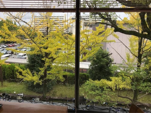 京都洋食レストランSTAR 高島屋洛西店 - サブ画像2