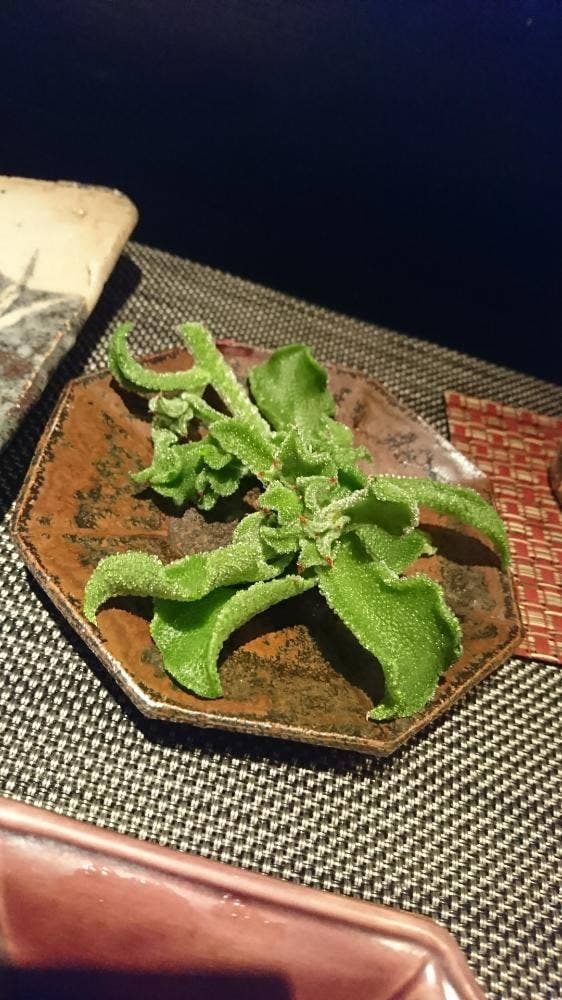伊賀肉鉄板ステーキ 胡楽人 - サブ画像2