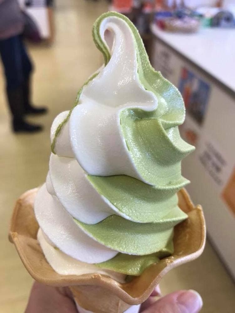 樹の里