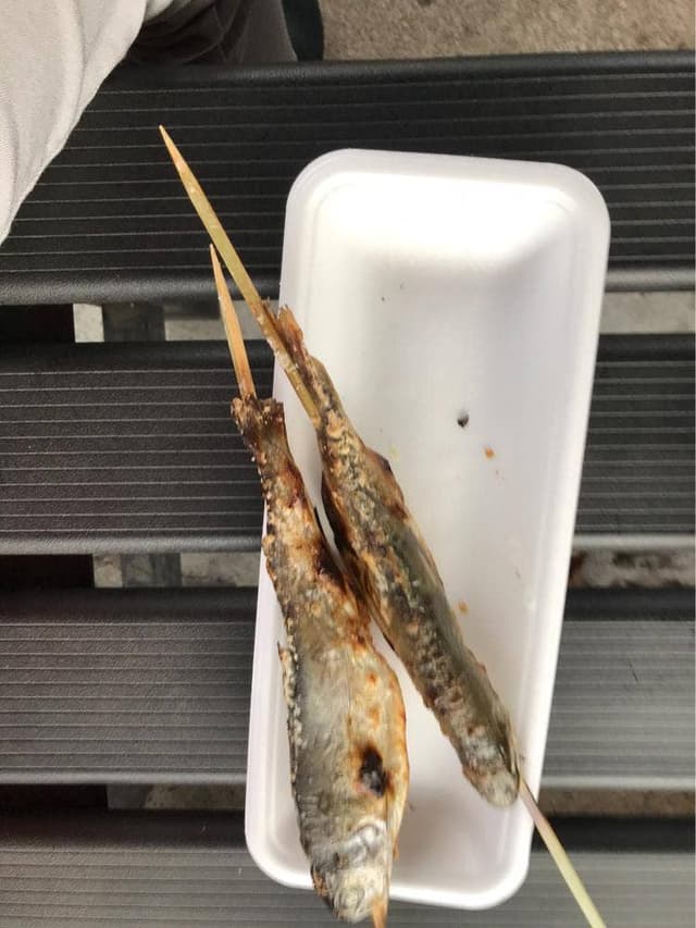 渓流釣り 軽井沢おもちゃ王国 - サブ画像3