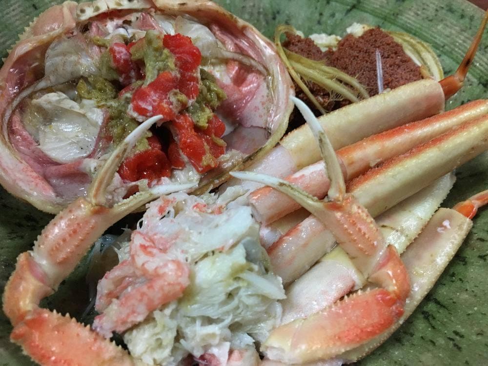 まつ野