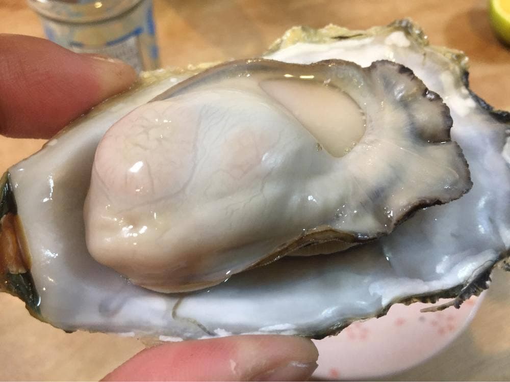 今富水産