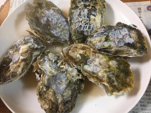 今富水産 - サブ画像1