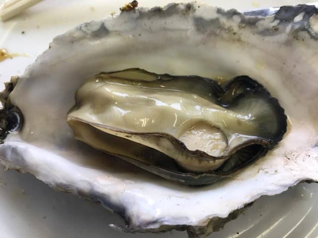 日の丸食堂 道の駅にしめ はまなすの里 - サブ画像2