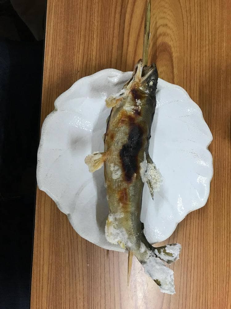 やたて