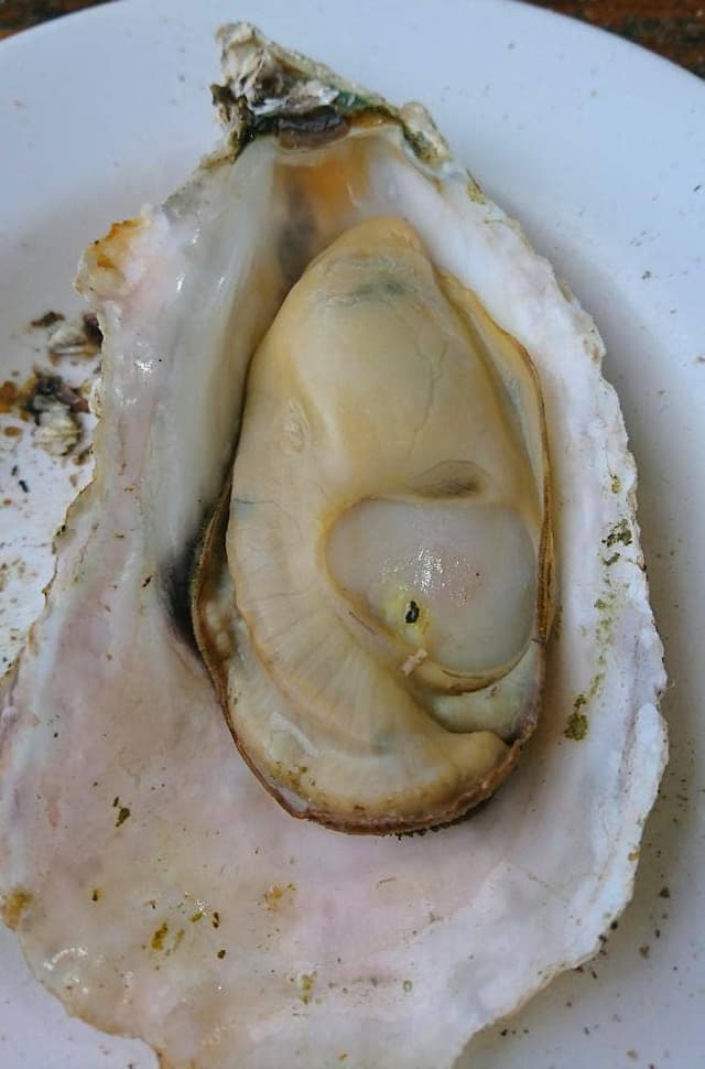 勇栄丸 - サブ画像2