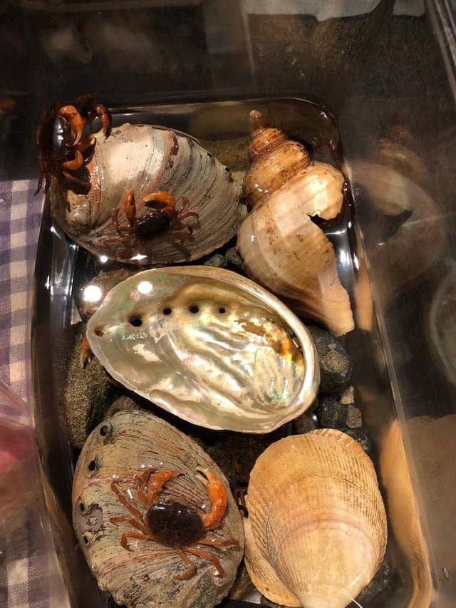 肉菜旬魚とき-時機- - サブ画像3