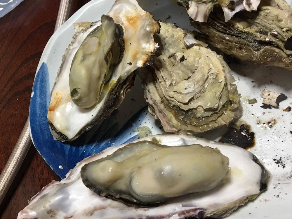 時葵