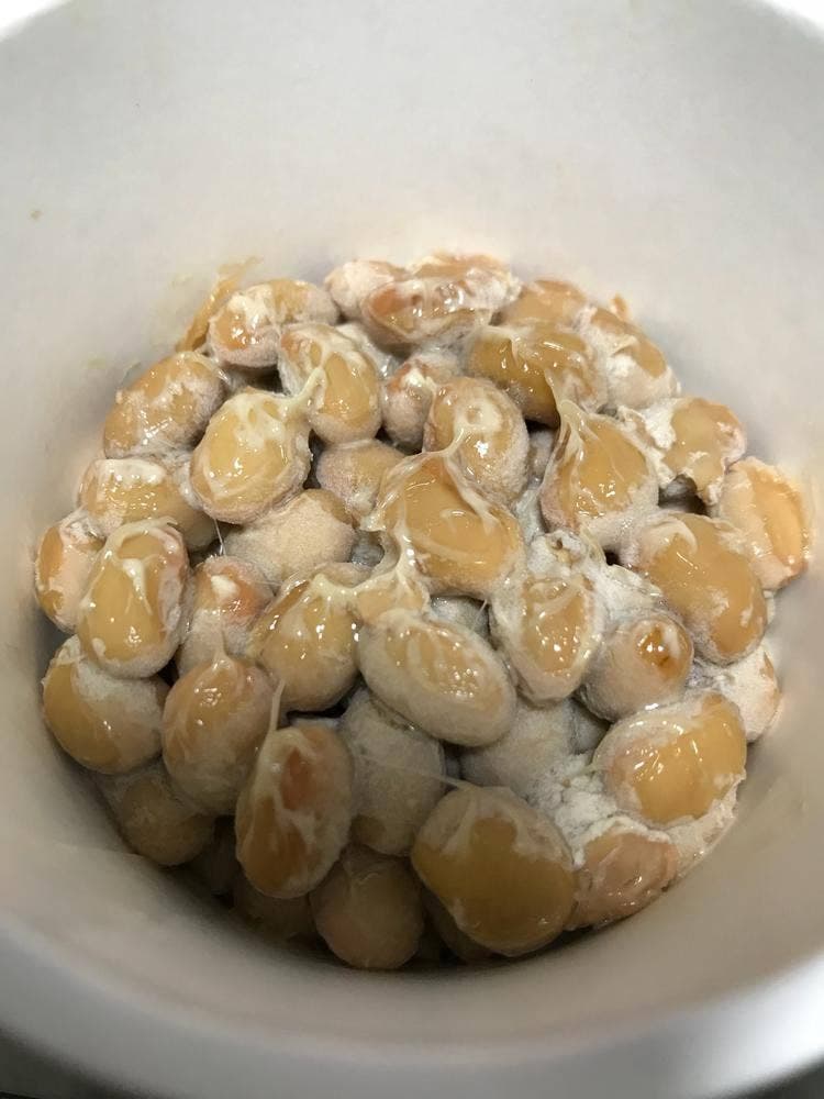 納豆BAR小金庵