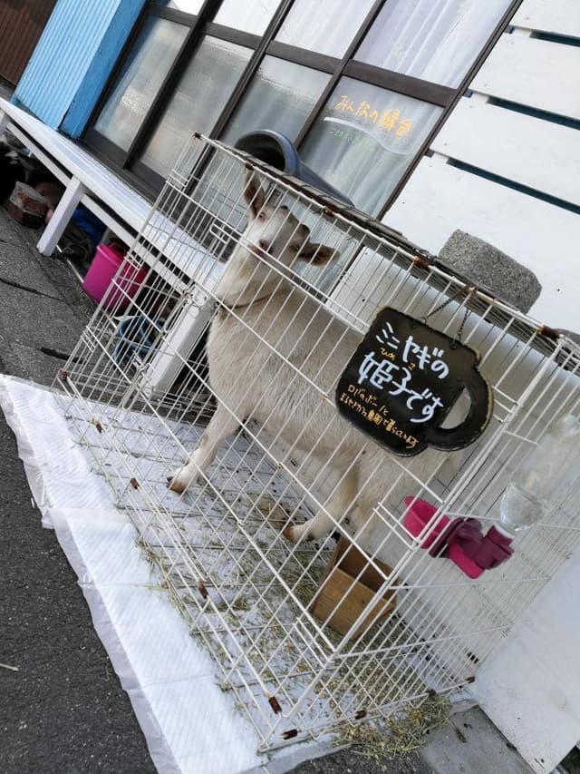 まるせきカフェ - サブ画像2