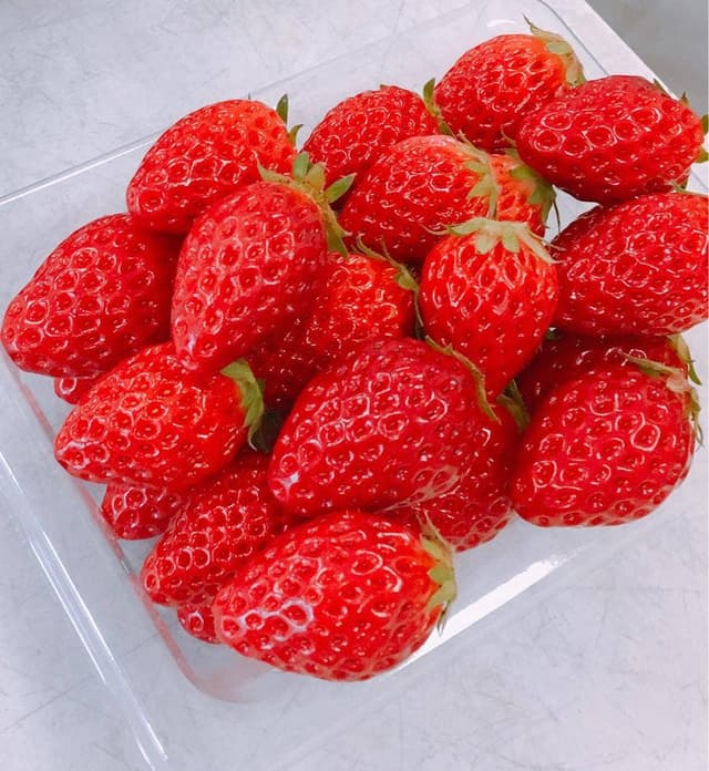 マリモファーム - サブ画像2