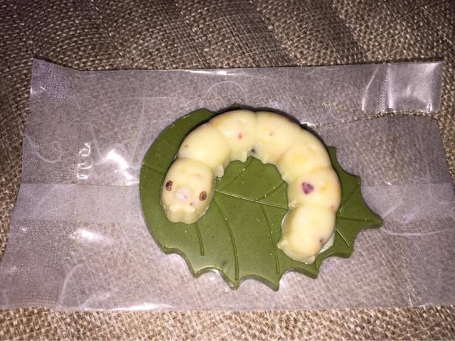 かいこの王国 富岡城町店 - サブ画像1